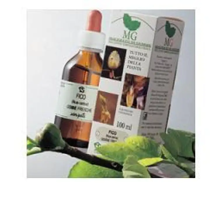 RIBES MG 100ML SANGALLI