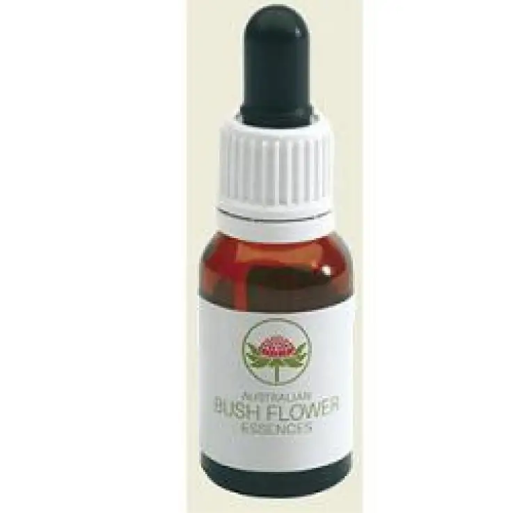 BUSH FLOWER MACROCARPA 15ML