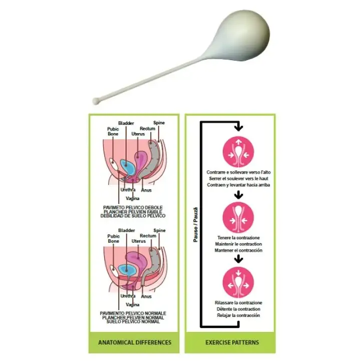 PELVIK L 1CONO VAGINALE
