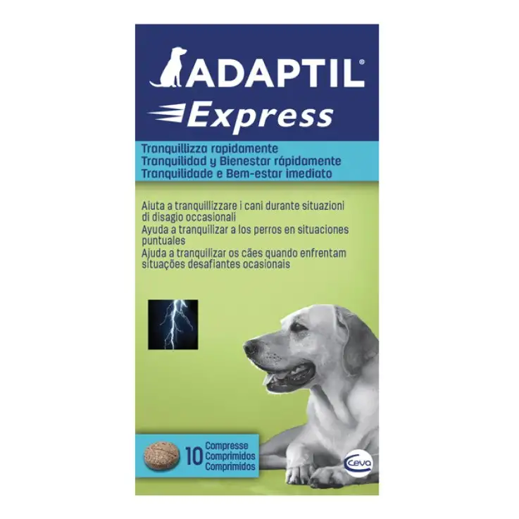 ADAPTIL EXPRESS 10 COMPRESSE