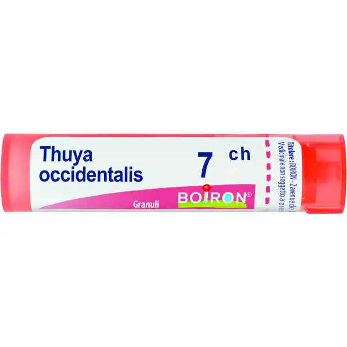 Thuya Occidentalis 7 Ch Granuli