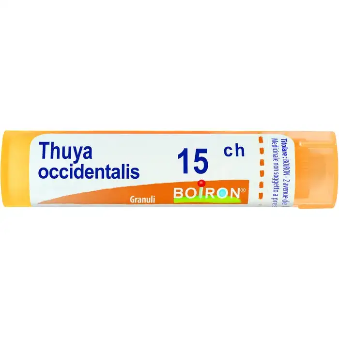 Thuya Occidentalis 15 Ch Granuli