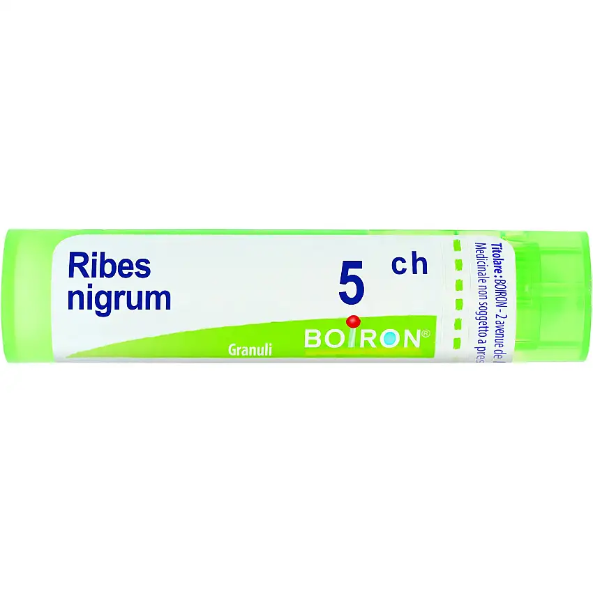 Ribes Nigrum 5Ch Granuli