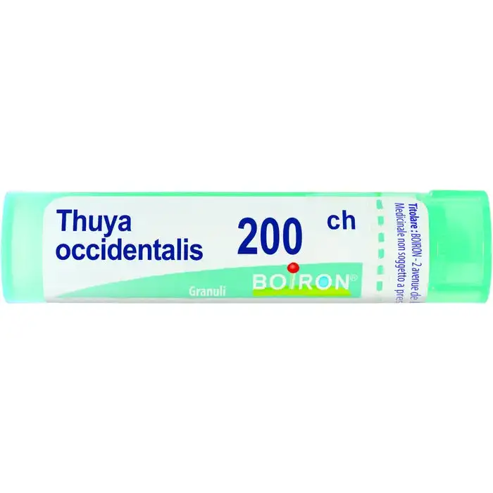 Thuya Occidentalis 200 Ch Granuli