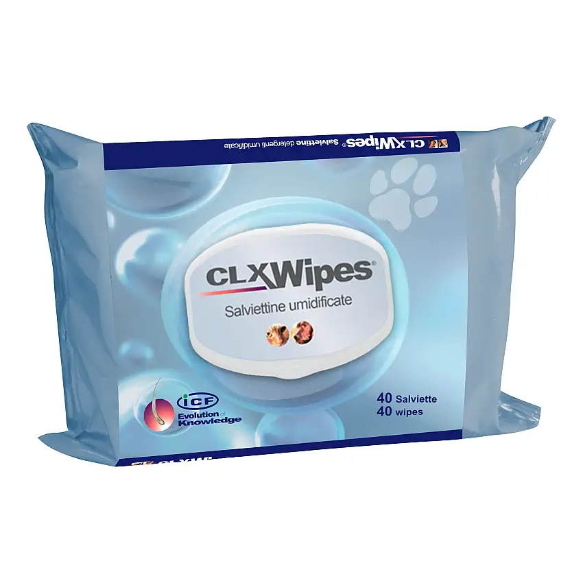 CLX WIPES 40STRAPPI 12PZ