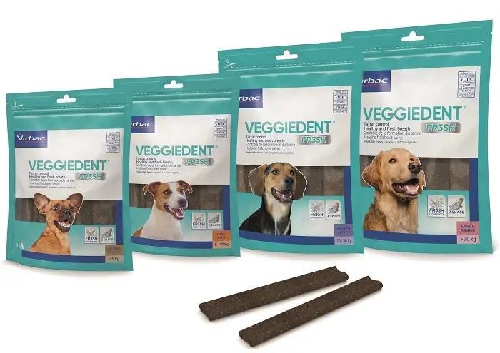 VEGGIEDENT FR3SH S 15 STICK