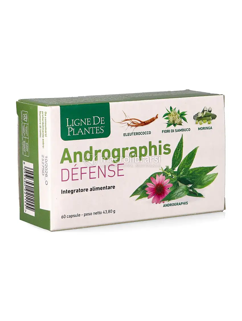 Andrographis Defense - Capsule