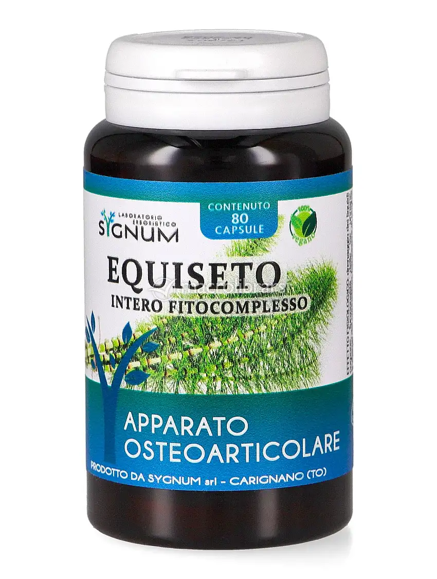 Equiseto - Apparato Osteoarticolare - Capsule