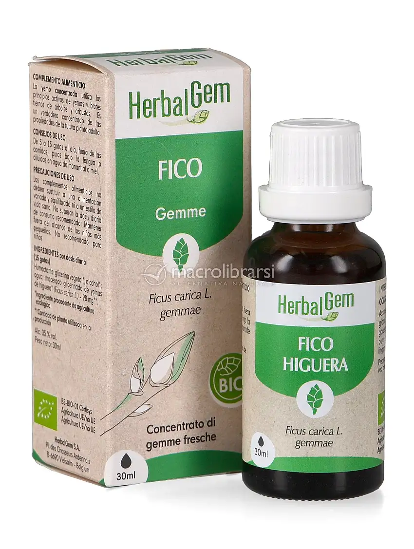 Fico Gemme - Bio
