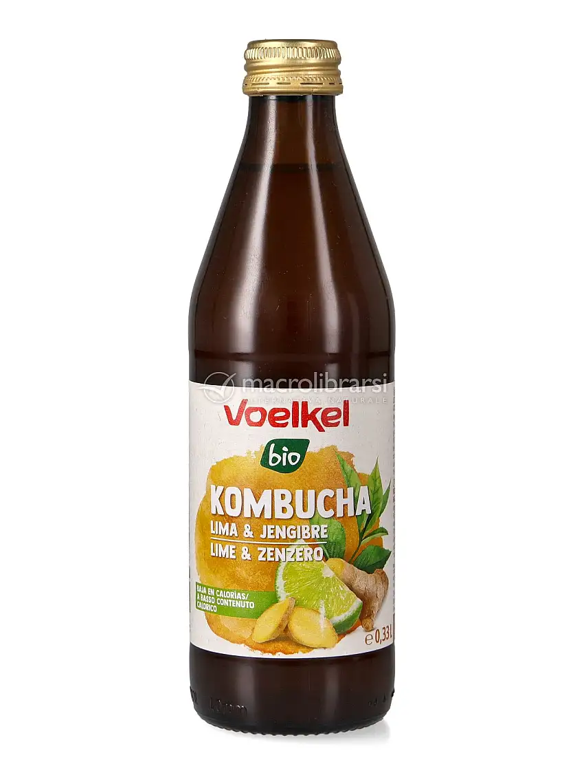 Kombucha Biologico - Lime e Zenzero